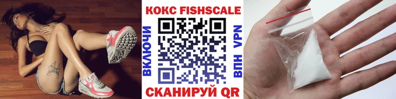 OMG вход  Медвежьегорск  Cocaine Fish Scale  где продают  