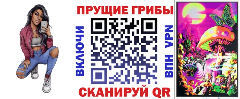 закладки  Медвежьегорск  Псилоцибиновые грибы прущие грибы 